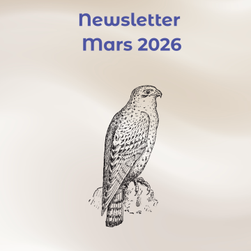 Newsletter #MARS 2026